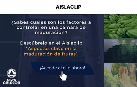 Aspectos Clave En La Maduraci N De Frutas Aislacon