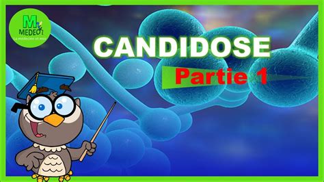 Candidose Partie Cours De Parasitologie Mycologie M Dicale Youtube