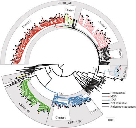 Maximum Likelihood Phylogenetic Trees Of Hiv 1 Pol Sequences From 229