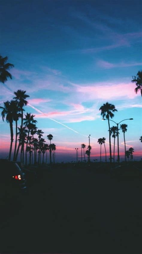 Beach Palm Trees Tumblr Background