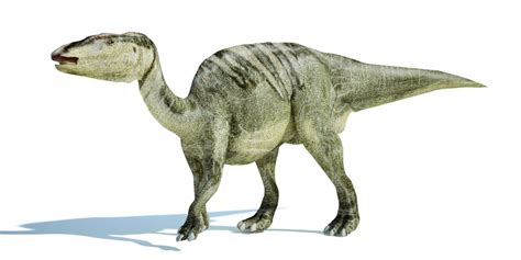 エドモントサウルスedmontosaurus 恐竜図鑑