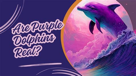 Are Purple Dolphins Real? Unraveling the Myth | DolphinXpert.com