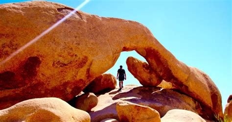 12 Most Scenic Hikes In Joshua Tree National Park