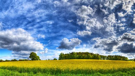 Wallpaper 1920x1080 Px Clouds Fields Forests Grass HDR