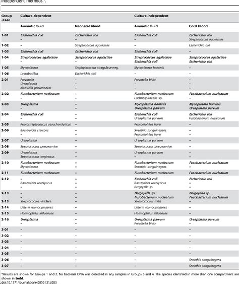 Peptoniphilus asaccharolyticus | Semantic Scholar