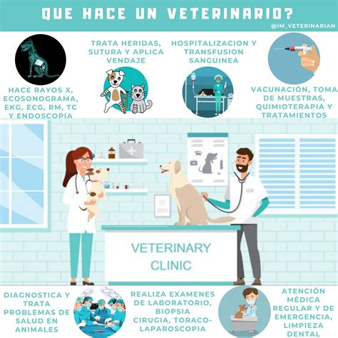 Que Hace Un Veterinario Biopsia Veterinaria Ex Menes