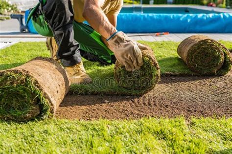 Descubre los mejores tipos de césped natural para tu jardín