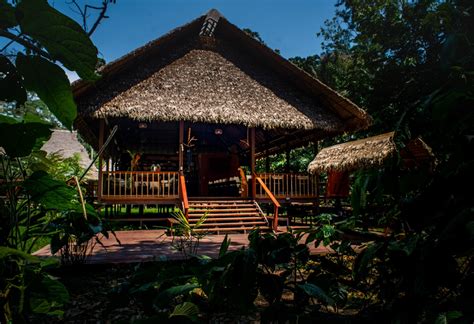 Rainforest Retreats: Exploring the Best Amazon Lodges in Peru - The ...