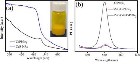 A Absorption Spectra Of Cspbbr Ncs And Cds Nrs Films The Inset Is