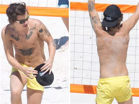 podívaná personalizované Ahoj harry styles naked penis žieravý príroda