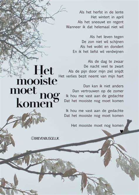 A Tree Branch With Leaves And The Words Let Mooisie Mooie Nog Komen