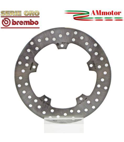 Disco Freno Posteriore Bmw S 1000 RR Brembo Serie Oro Moto