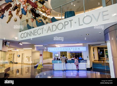 Adoption center fotografías e imágenes de alta resolución Alamy