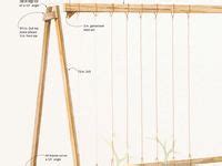 Tomato Trellis Ideas In Tomato Trellis Garden Trellis Trellis