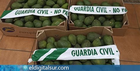 La Guardia Civil Interviene El Robo De 700kg De Aguacates En Fincas