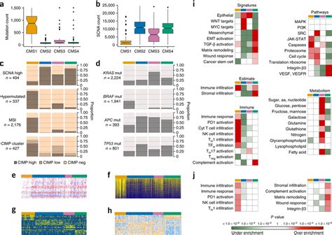 Rna Seq Reveals The Consensus Molecular Subtypes Of Colorectal Cancer