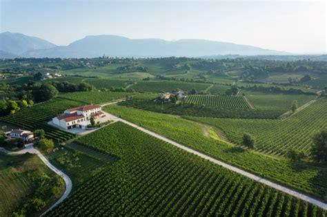 The Blessed Hills Of Prosecco Superiore Walks Inside Italy