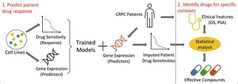 Computational Drug Discovery For Castration Resistant Prostate Cancers