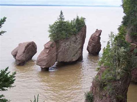 Canada Bay of Fundy Tides,The Highest Tides in the World!