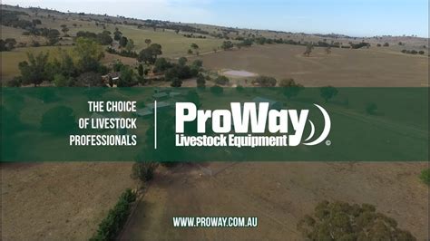 Proway Cattle Yards Woodford Narrawa Nsw Youtube