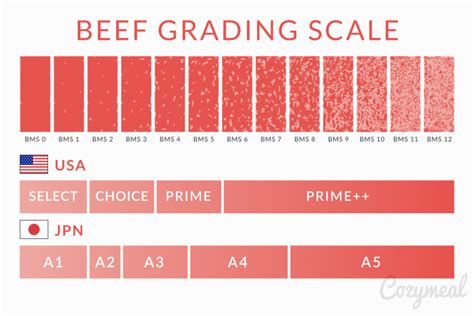 Wagyu Beef Guide To Japanese Wagyu For 2023 Cozymeal