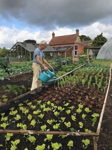 Pin By Mark Leen On Agriculture Vegetable Garden Design Garden