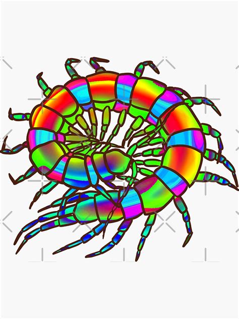 "Rainbow Curled-up Centipede" Sticker for Sale by techno-mantis | Redbubble