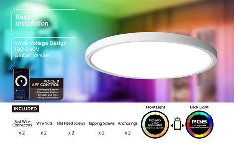 Taloya L Mpara De Techo Inteligente Con Montaje Empotrado Led Wifi