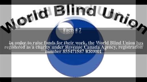 World Blind Union Top 14 Facts Youtube