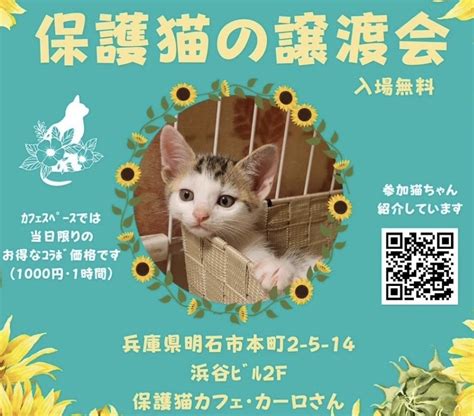 ”7月15日譲渡会参加猫紹介②” Reshelly