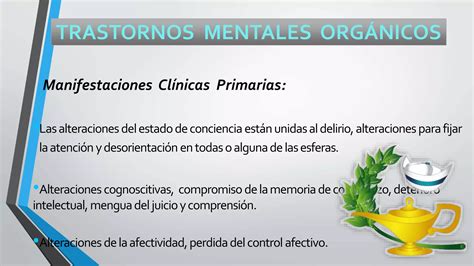 Sindrome O Trastorno Mental Organico Ppt