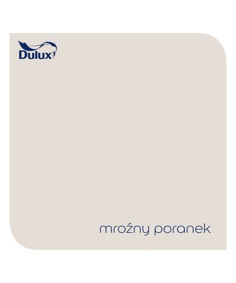 Farba Dulux Mroźny Poranek Kolory Świata lateksowa 5 l Bricomarche pl