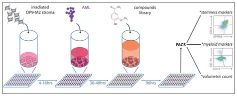 Small Molecule Screening Of Primary Human Acute Myeloid Leukemia Using