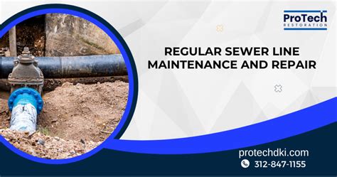 Regular Sewer Line Maintenance And Repair Essential Homeowner Insights