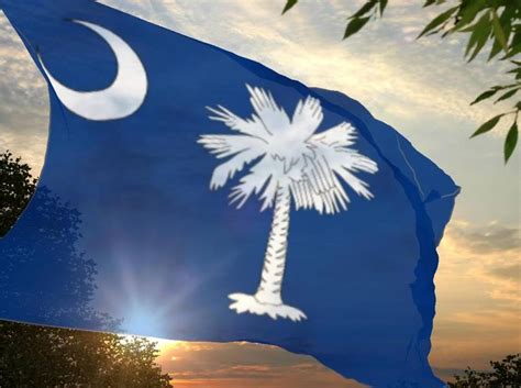 Palmetto State takes another crack at state flag redesign - Explore ...