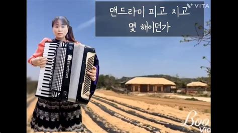 비내리는고모령🎵 아코디언 비내리는고모령 아코디언 Youtube