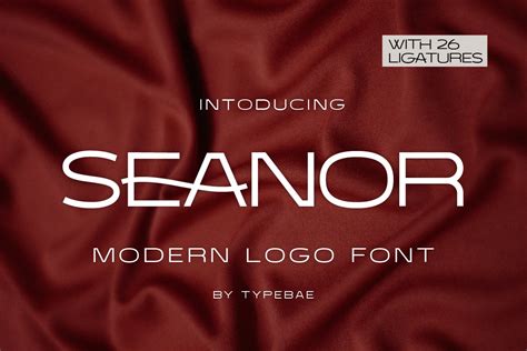 Seanor Modern Logo Font Design Cuts