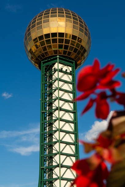 20+ Downtown Knoxville Tn Skyline Night Stock Photos, Pictures & Royalty-Free Images - iStock