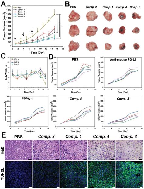 In Vivo Antitumor Effect And Biological Safety Evaluation A Antitumor