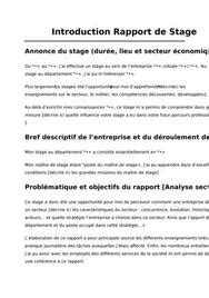 Rapport De Stage Bac Pro Word