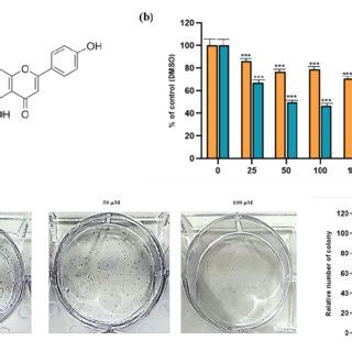 Cytotoxic And Inhibitory Effects Of Compound Apigetrin A Structure