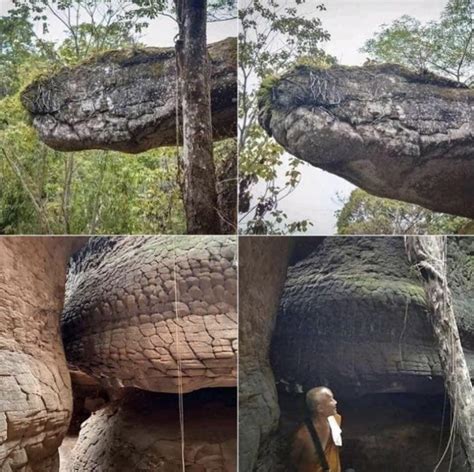 Rock that looks like a petrified giant snake : r/interestingasfuck