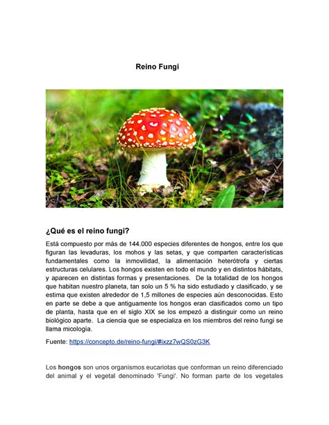 Equipo 01 Act03 Reino Fungi 3 01 Reino Fungi Qué es el reino fungi