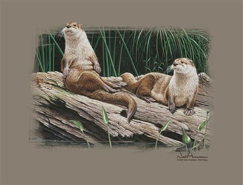 Wildlife River Otters Digital Art By Brand A Fine Art America