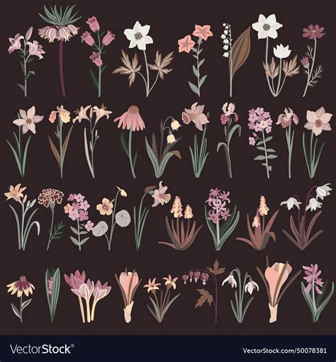 Drawing garden flowers Royalty Free Vector Image