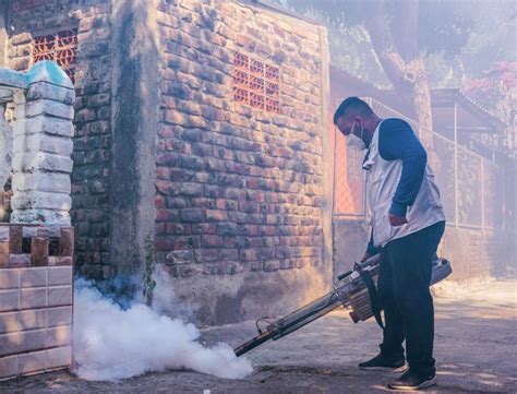 Minsal Desarrolla Jornada De Fumigación En Comunidad La Granjita A Fin