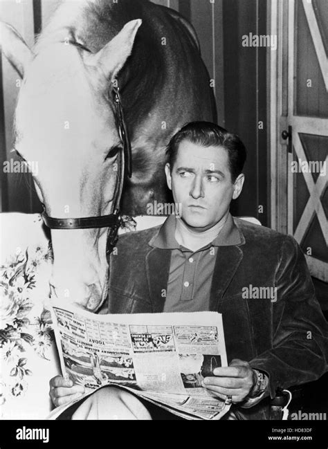 MR. ED, Mr. Ed, Alan Young, 1961-66 Stock Photo - Alamy