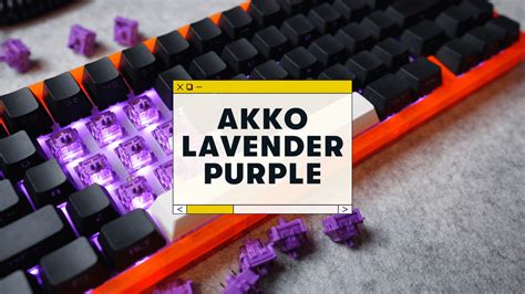 Akko Lavender Purple Switch Review Sound Test