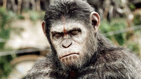 Best Movies Like Planet Of The Apes The Mary Sue