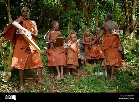 Pygmies Hi Res Stock Photography And Images Alamy